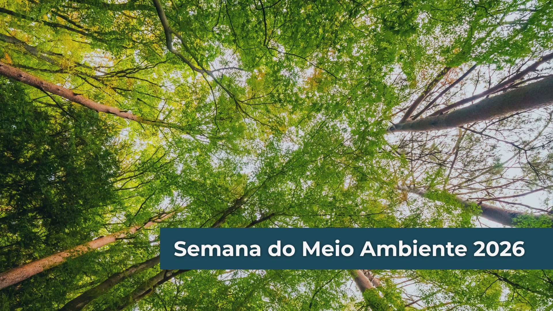 Semana do Meio Ambiente 2026: o papel da ISO 14001 na redução de impactos ambientais